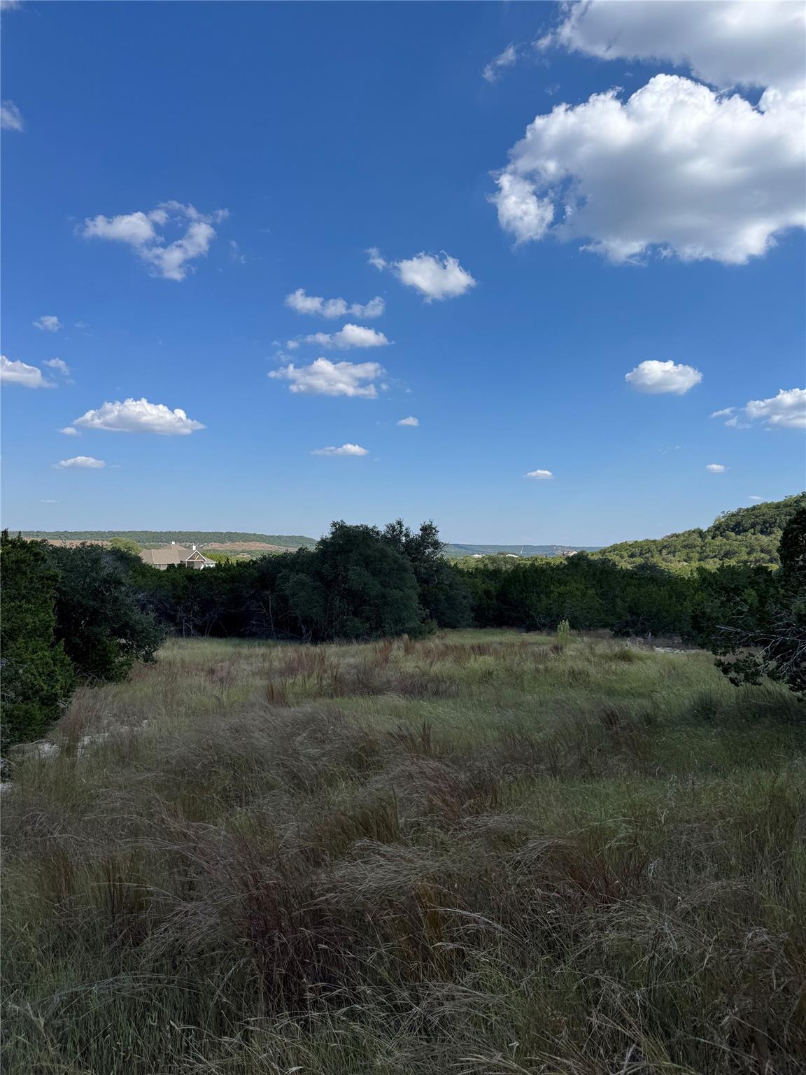 109 South Creek Circle Bertram TX 78605