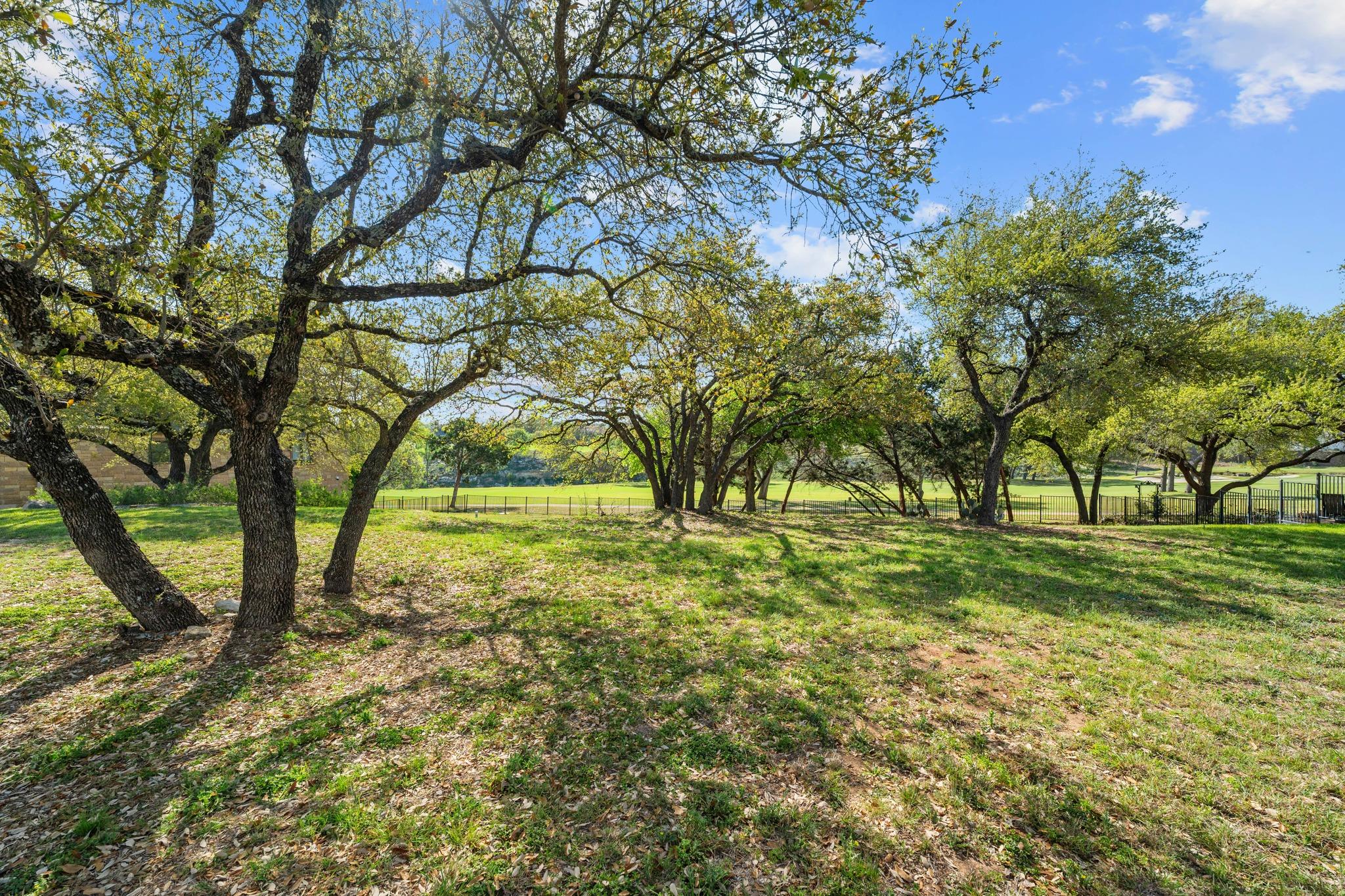 510 Black Wolf Run Austin TX 78738