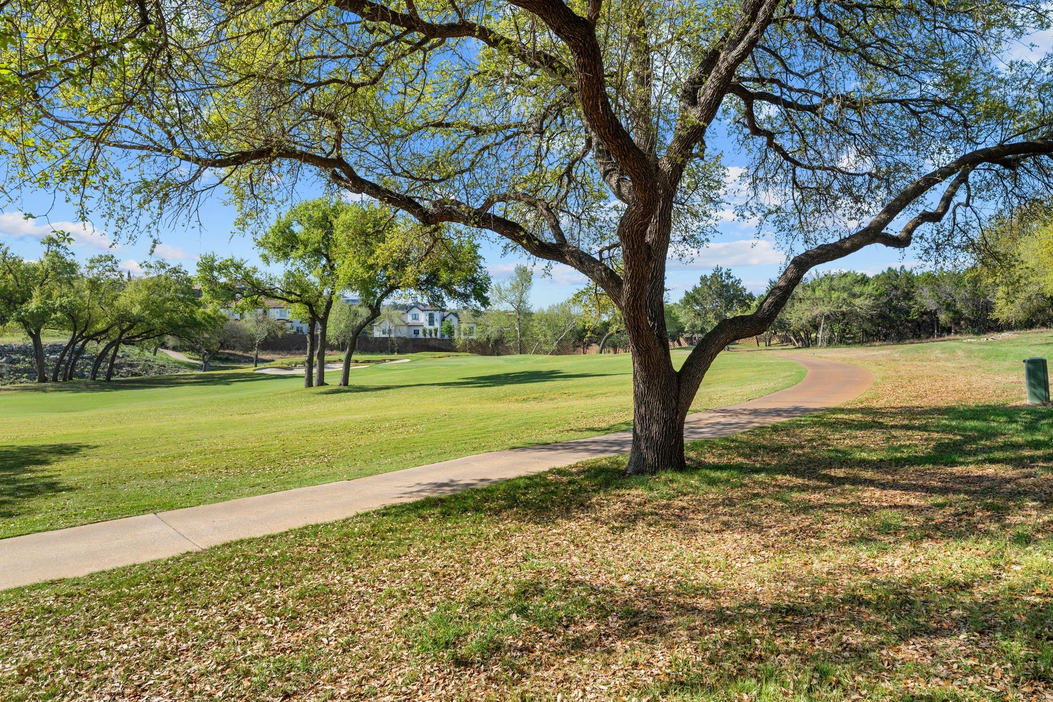 510 Black Wolf Run Austin TX 78738