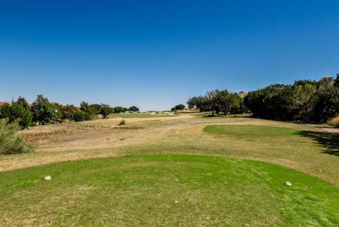 510 Black Wolf Run Austin TX 78738