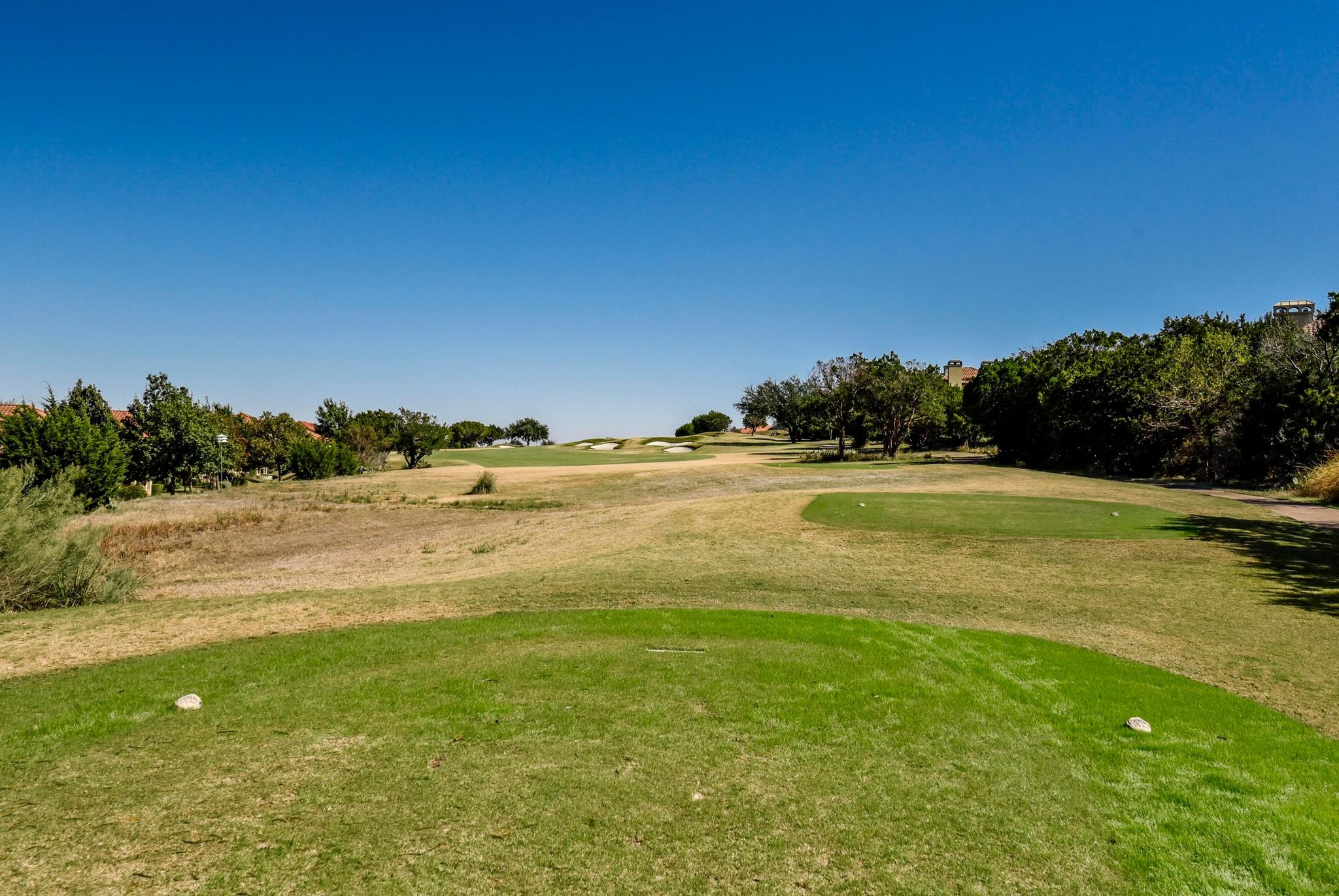 510 Black Wolf Run Austin TX 78738