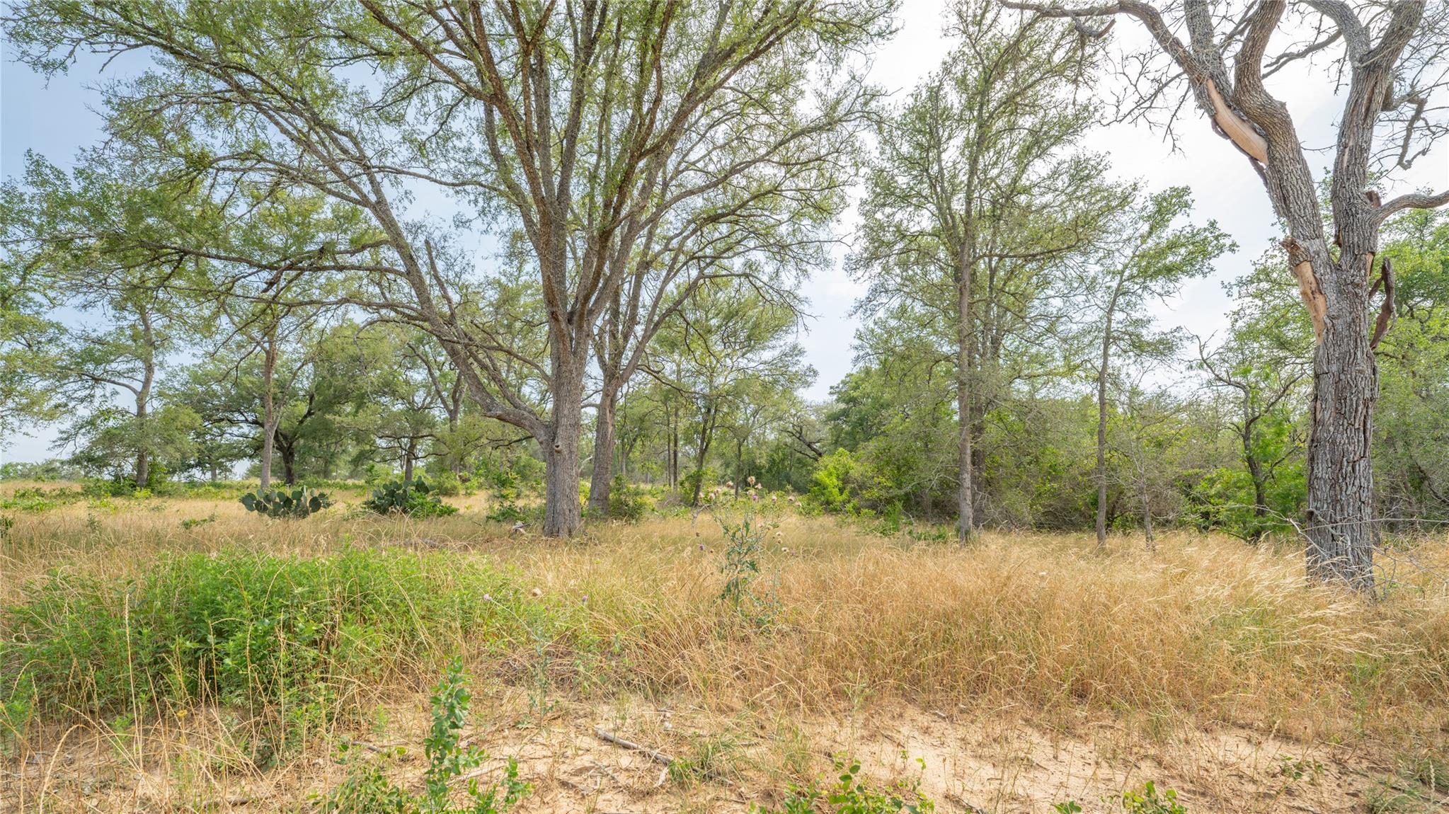 960 Ferguson Loop Dale TX 78616