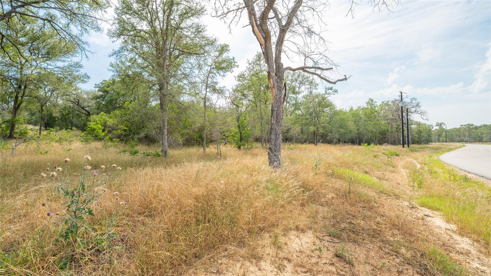 960 Ferguson Loop Dale TX 78616