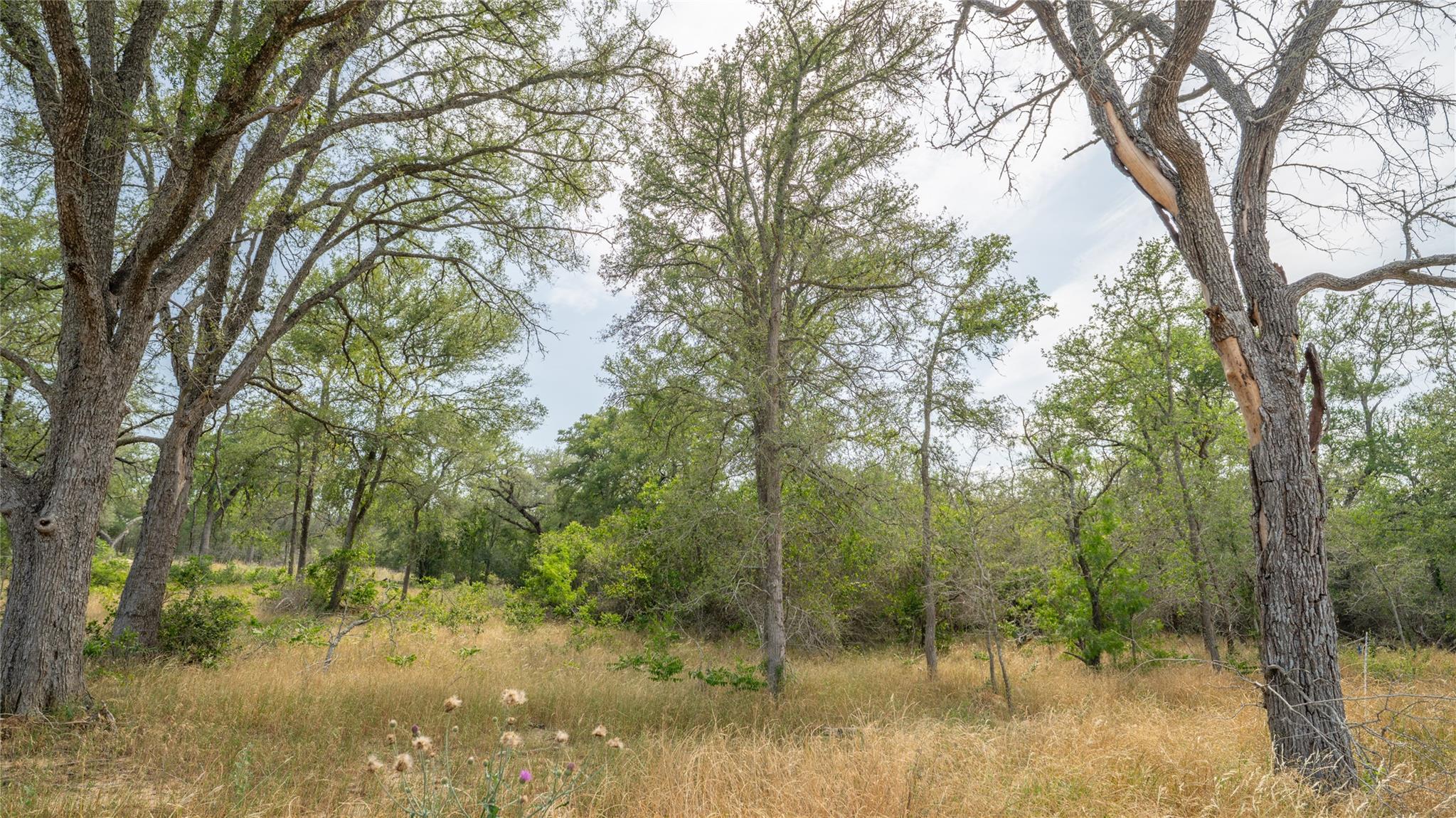 960 Ferguson Loop Dale TX 78616