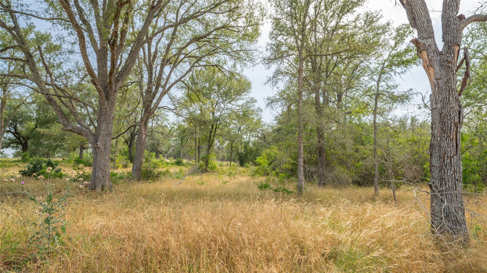 960 Ferguson Loop Dale TX 78616