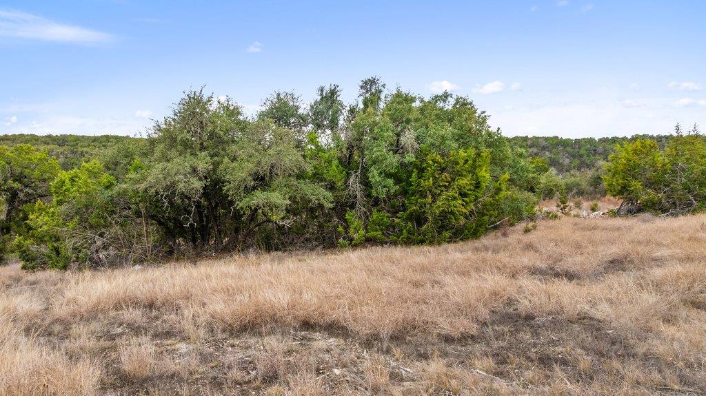 5408 Spring Preserve Trail Bee Cave TX 78738