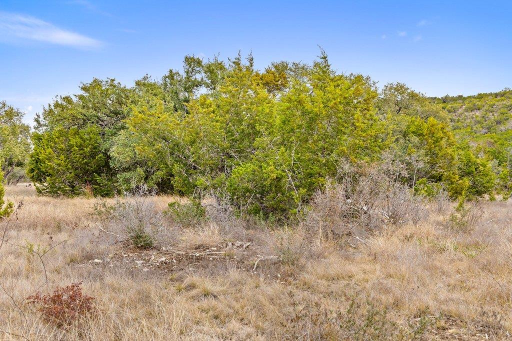 5408 Spring Preserve Trail Bee Cave TX 78738
