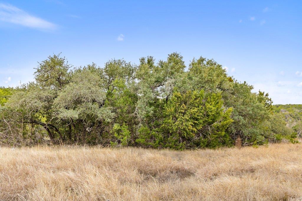 5408 Spring Preserve Trail Bee Cave TX 78738