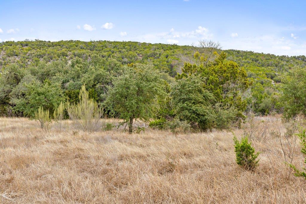 5408 Spring Preserve Trail Bee Cave TX 78738