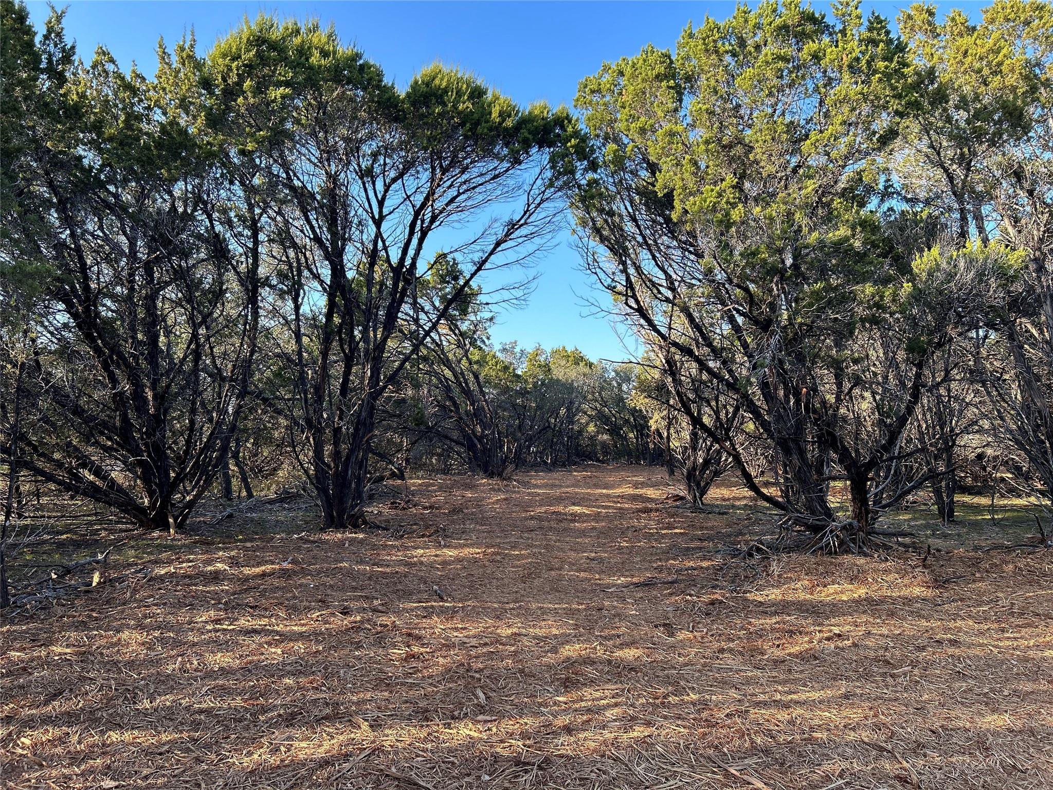 301 Cr-282 Lot 1 Road Liberty Hill TX 78642