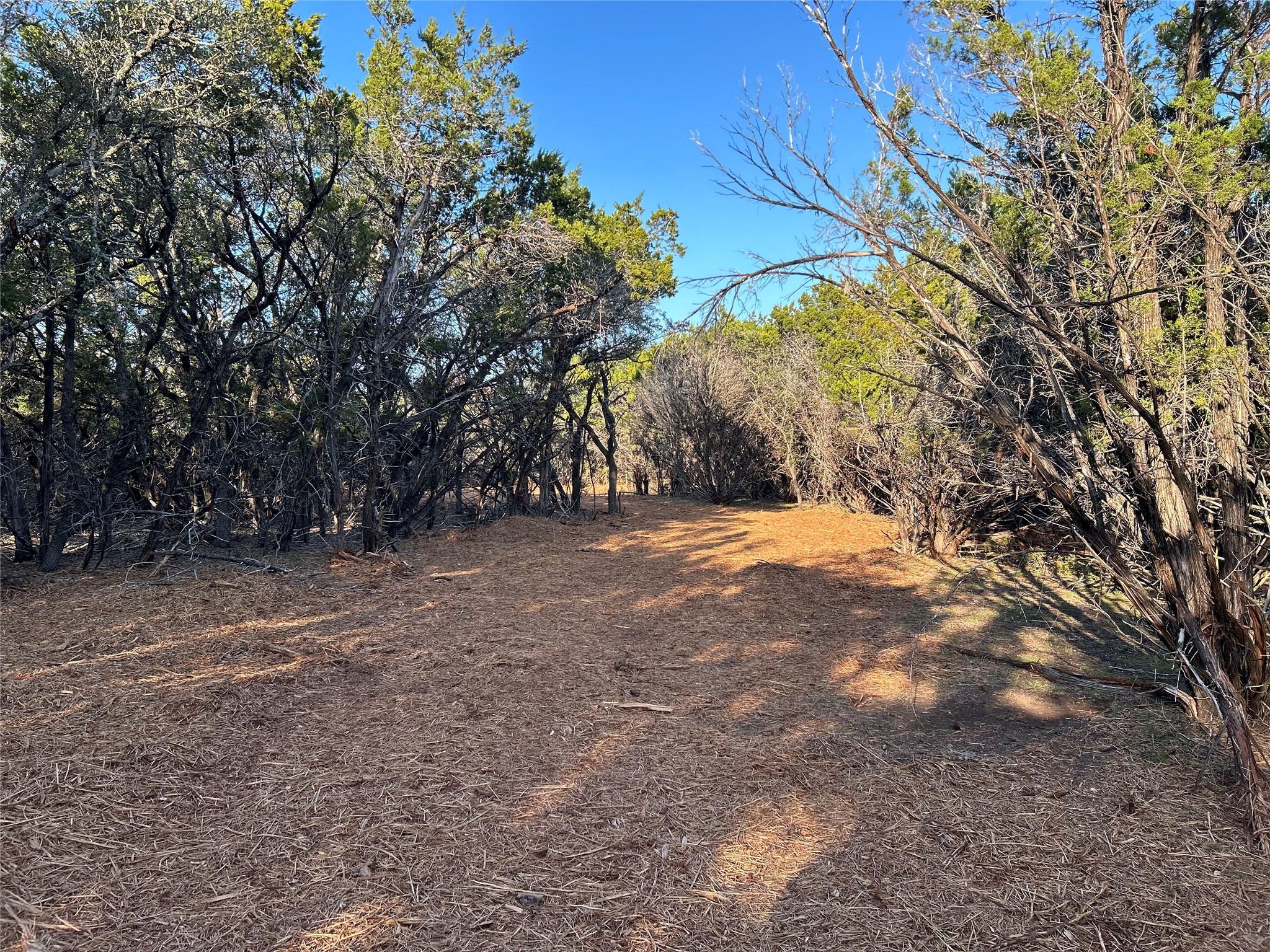 301 Cr-282 Lot 1 Road Liberty Hill TX 78642