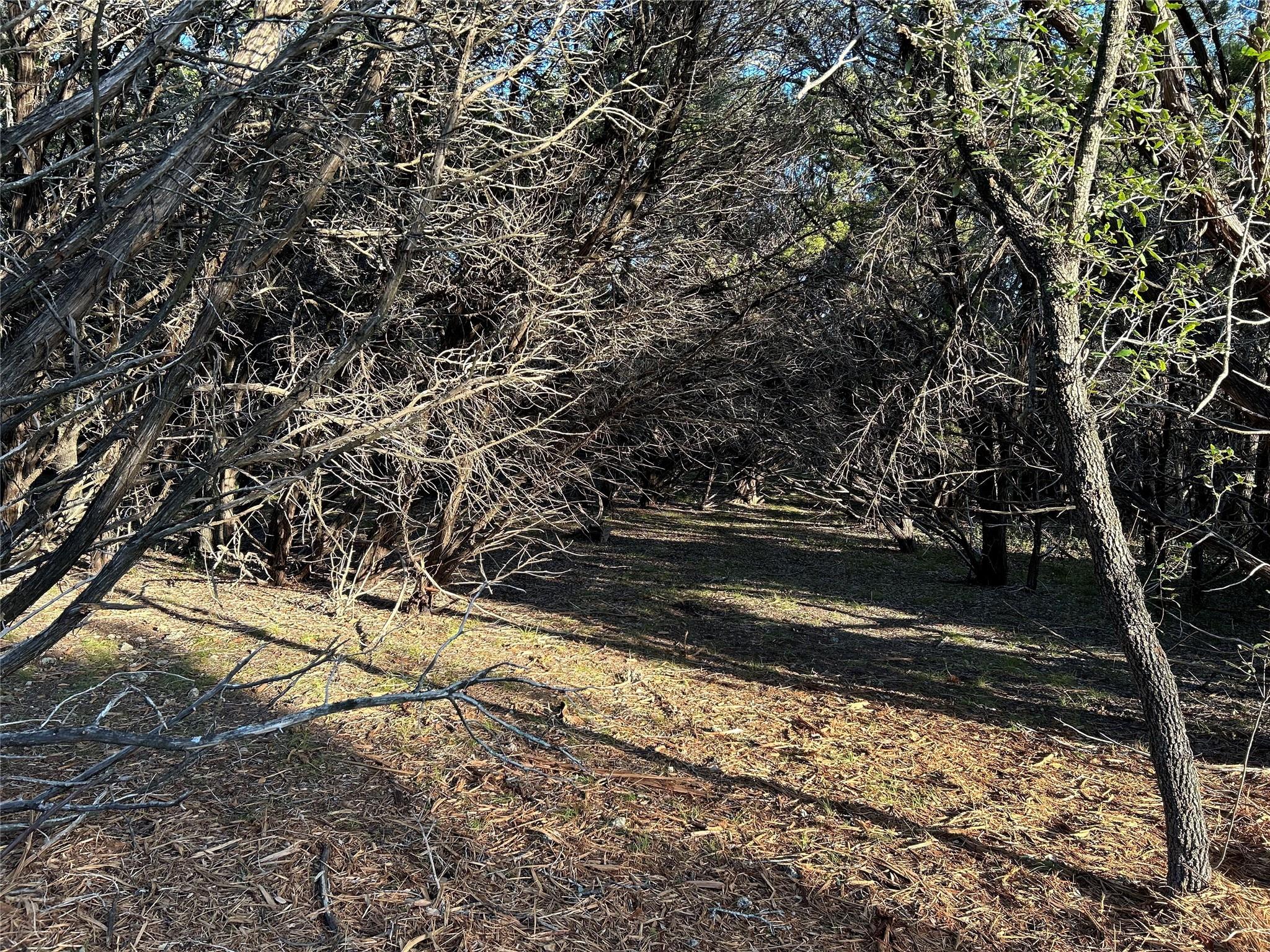 301 Cr-282 Lot 1 Road Liberty Hill TX 78642