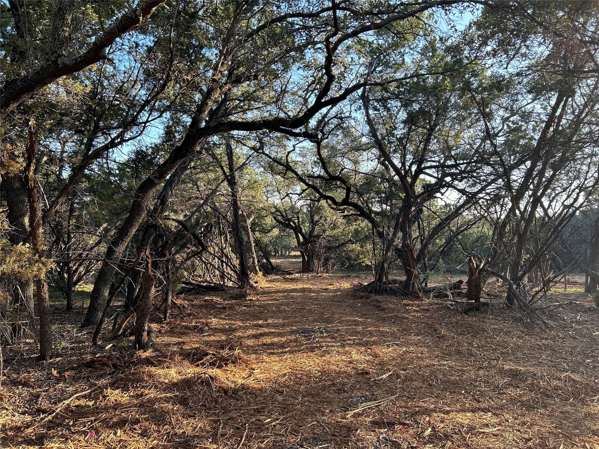 301 Cr-282 Lot 1 Road Liberty Hill TX 78642