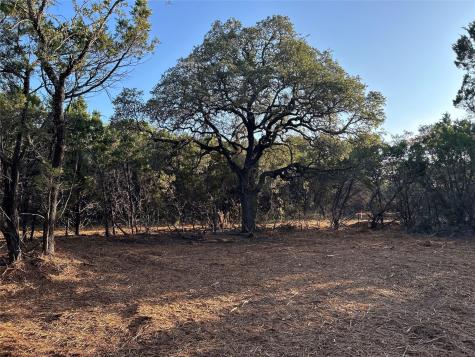 301 Cr-282 Lot 1 Road Liberty Hill TX 78642