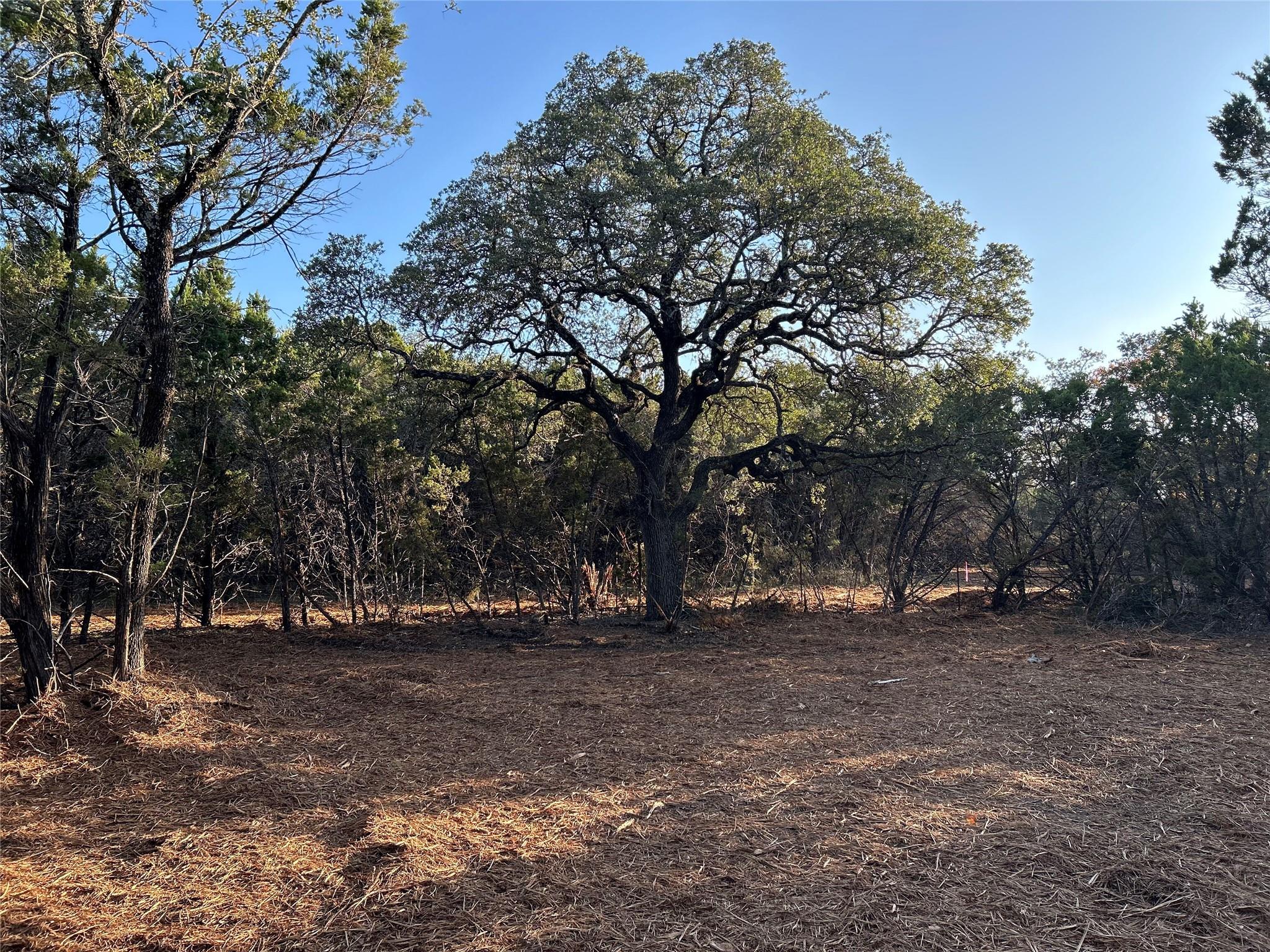 301 Cr-282 Lot 1 Road Liberty Hill TX 78642