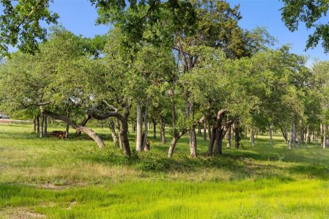 #24 Mesa Ranch Road Dripping Springs TX 78620