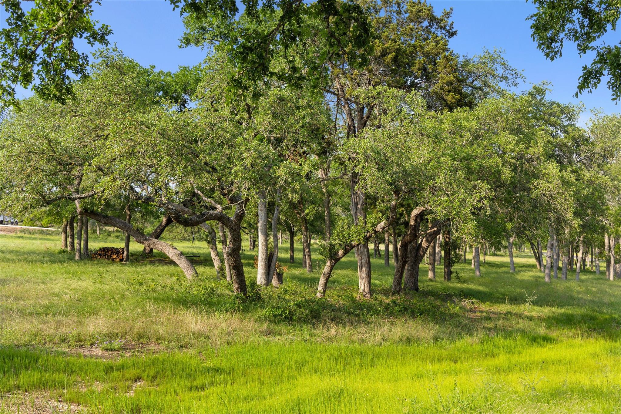 #24 Mesa Ranch Road Dripping Springs TX 78620