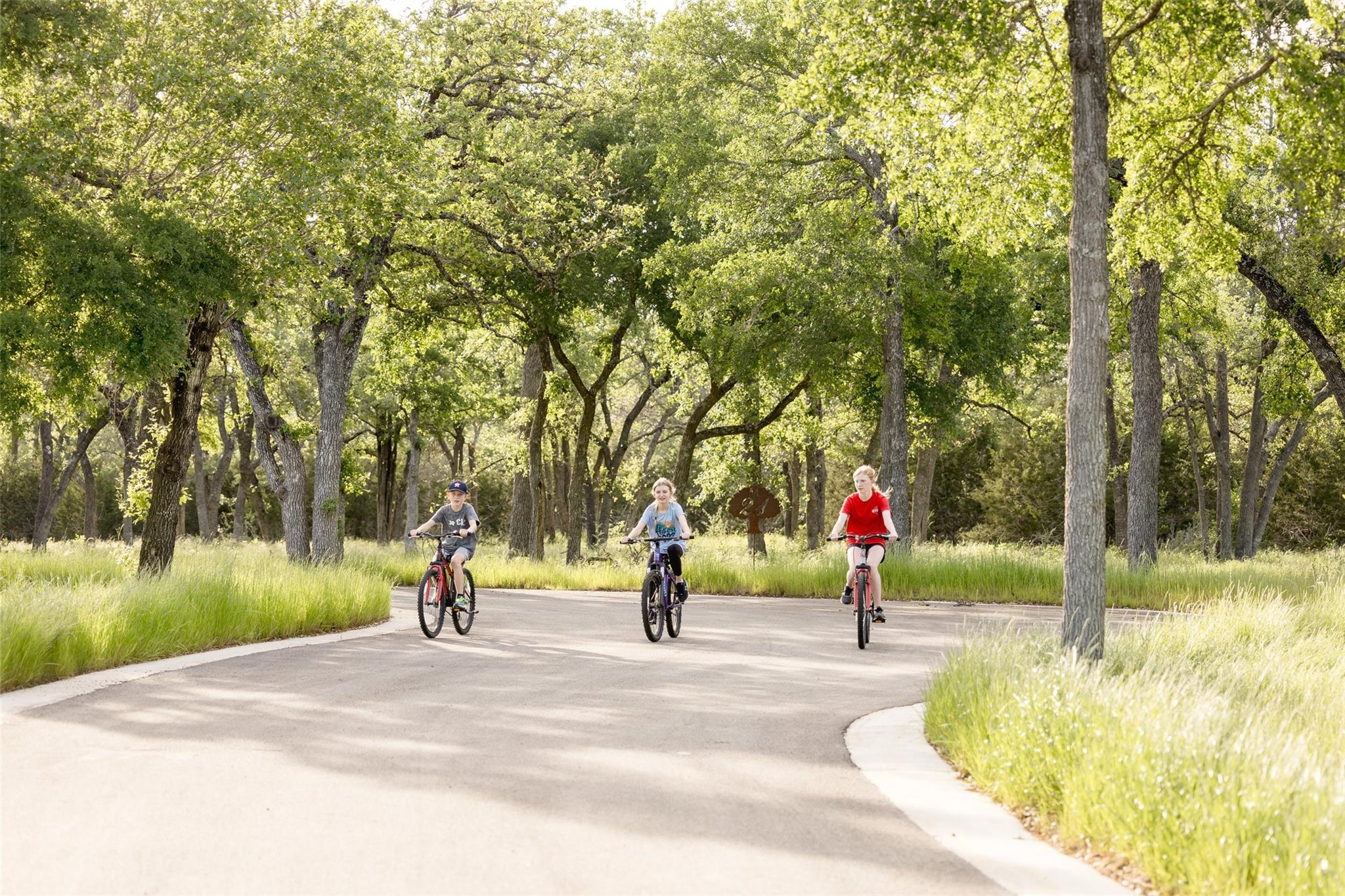 #24 Mesa Ranch Road Dripping Springs TX 78620