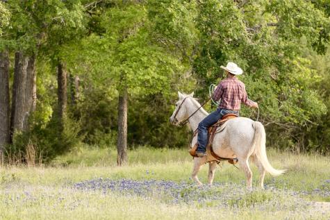 #24 Mesa Ranch Road Dripping Springs TX 78620