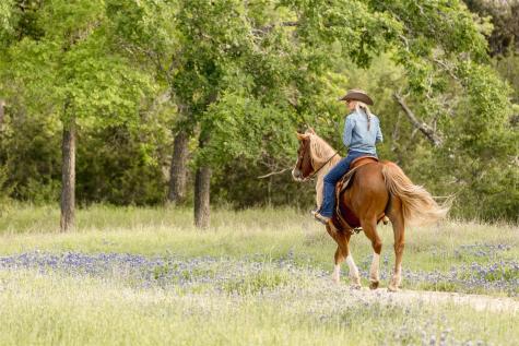 #24 Mesa Ranch Road Dripping Springs TX 78620