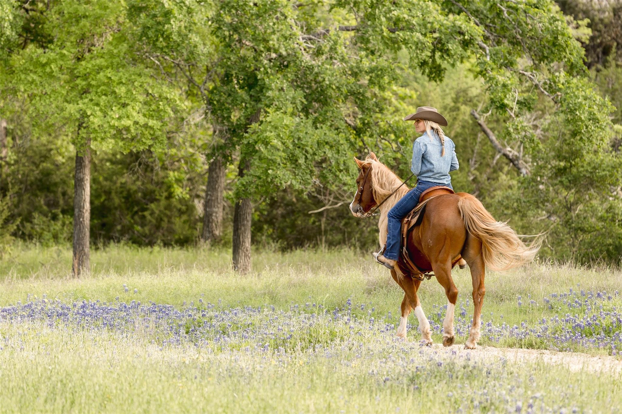 #24 Mesa Ranch Road Dripping Springs TX 78620