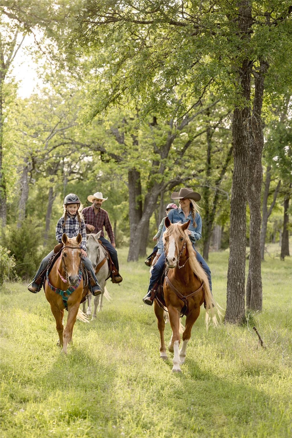 #24 Mesa Ranch Road Dripping Springs TX 78620