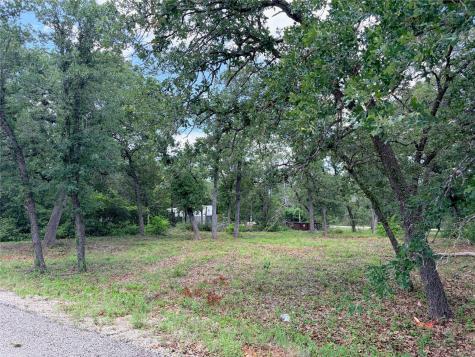 LOTS-90/91 Arapaho Drive Smithville TX 78957