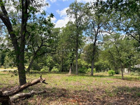 LOTS-90/91 Arapaho Drive Smithville TX 78957