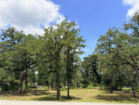 LOTS-90/91 Arapaho Drive Smithville TX 78957