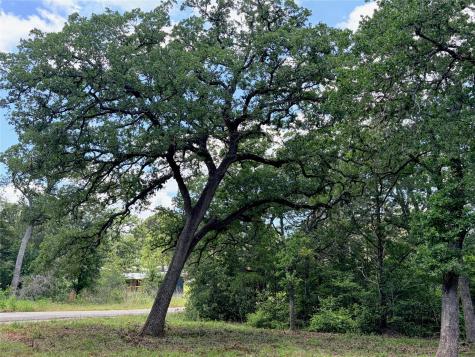 LOTS-90/91 Arapaho Drive Smithville TX 78957