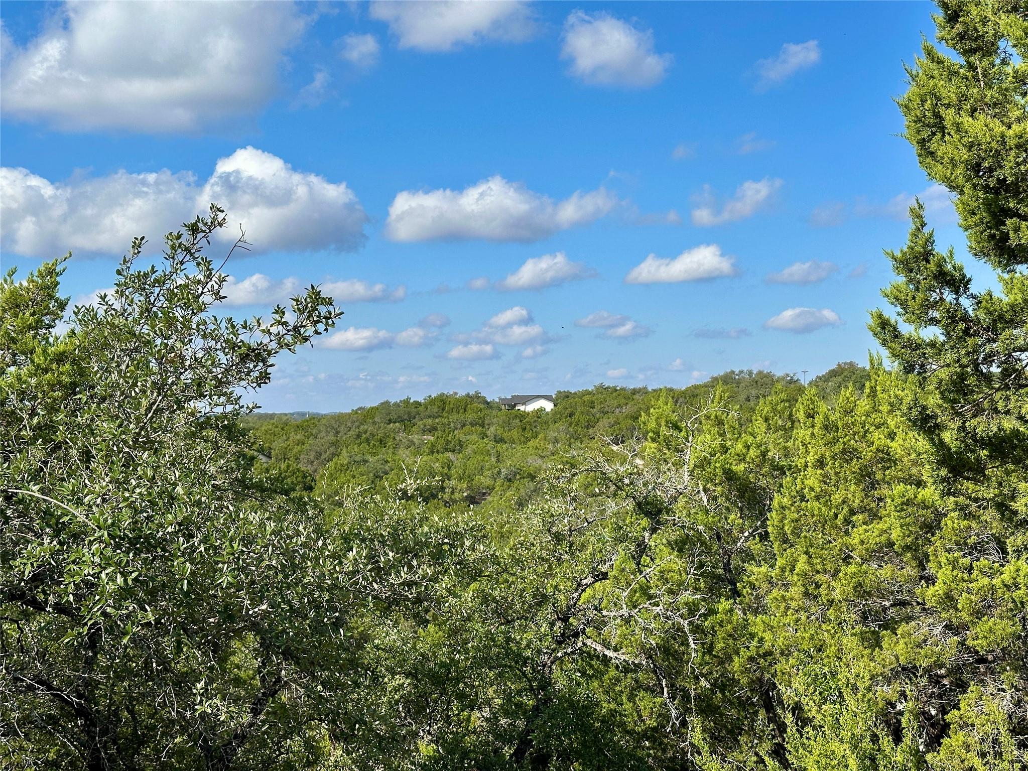 3203 Marshall Avenue Lago Vista TX 78645