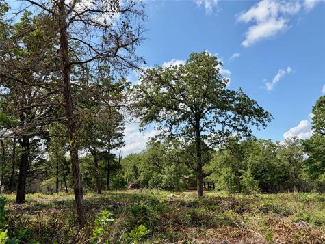 LOTS-97/98 Shawnee Drive Smithville TX 78957