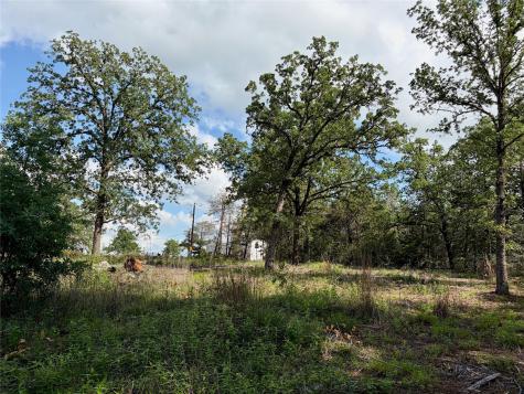 LOTS-97/98 Shawnee Drive Smithville TX 78957