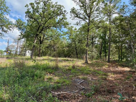 LOTS-97/98 Shawnee Drive Smithville TX 78957