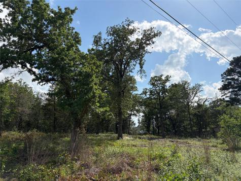 LOTS-97/98 Shawnee Drive Smithville TX 78957