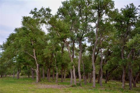201 Medlin Creek Loop Dripping Springs TX 78620