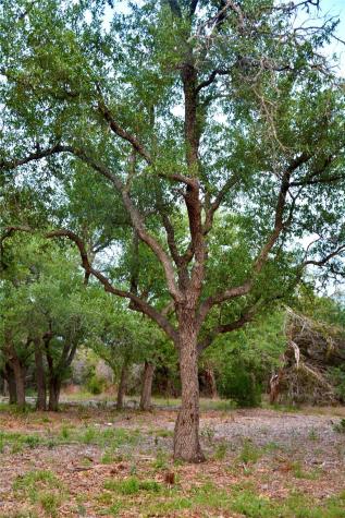 201 Medlin Creek Loop Dripping Springs TX 78620