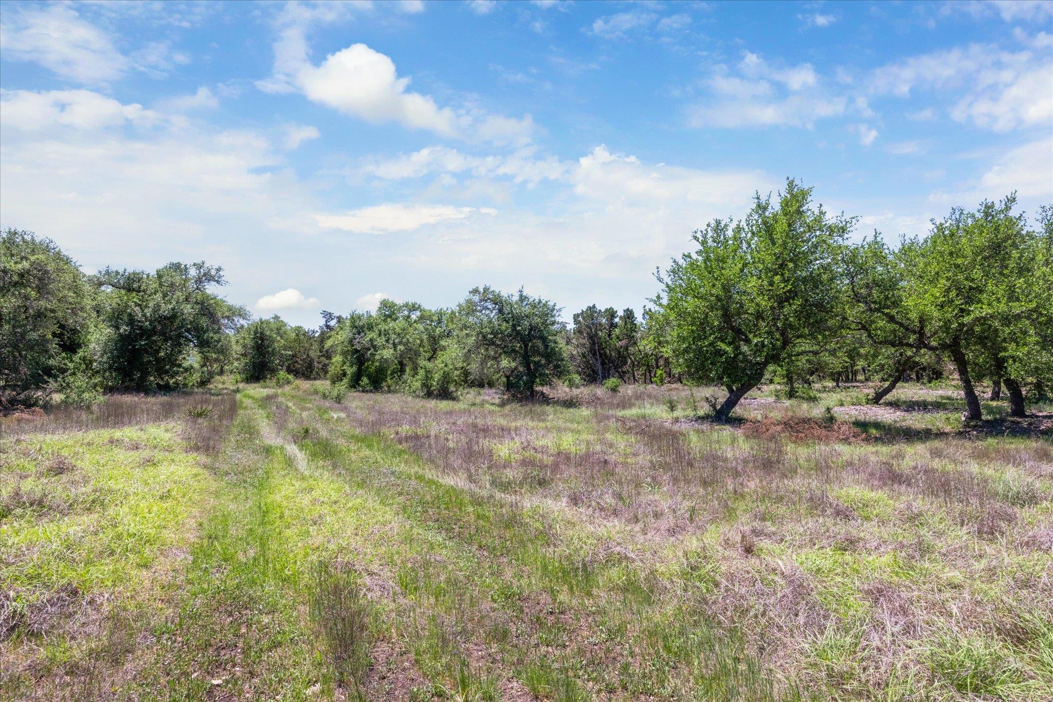 201 Medlin Creek Loop Dripping Springs TX 78620
