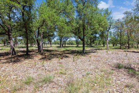201 Medlin Creek Loop Dripping Springs TX 78620