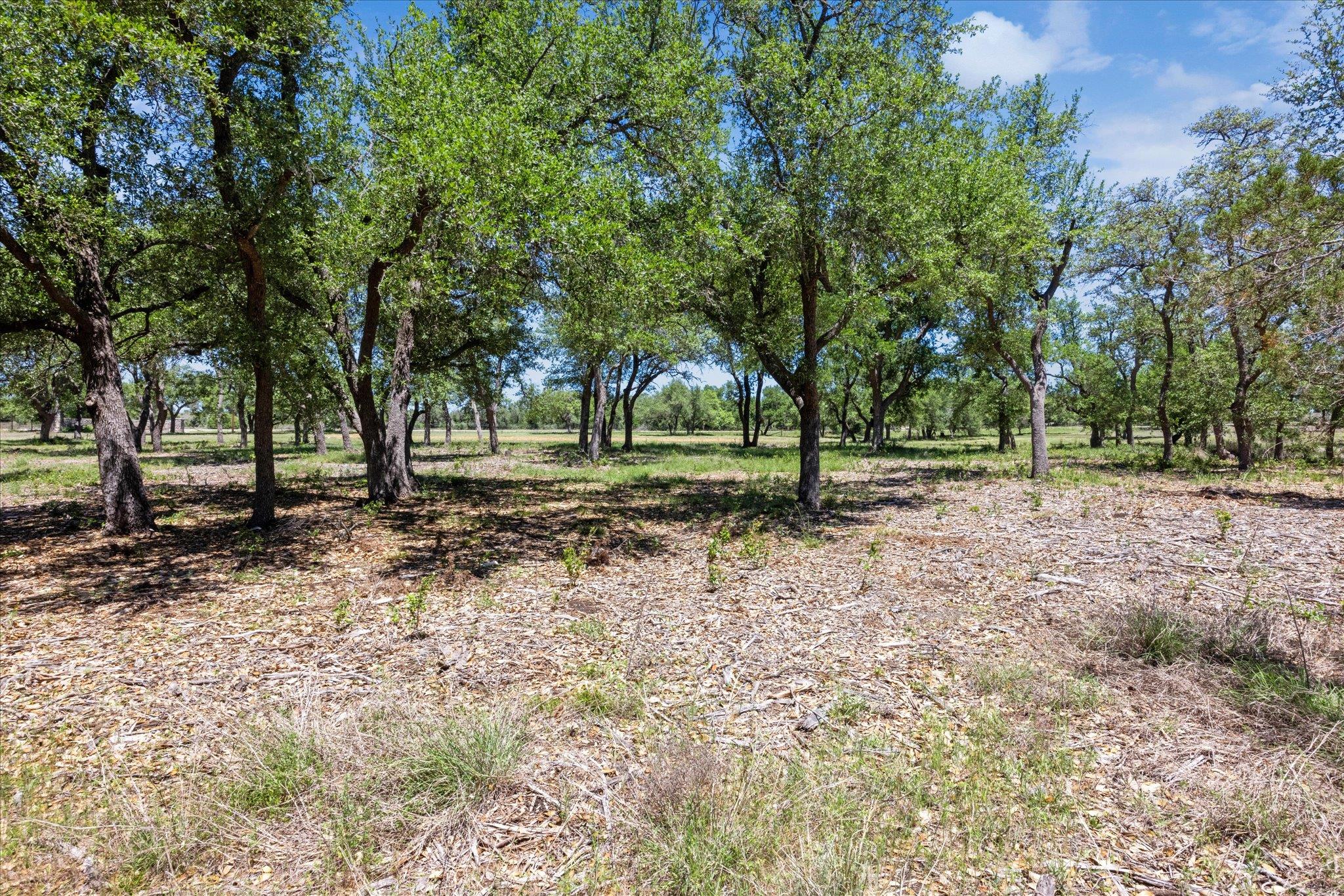 201 Medlin Creek Loop Dripping Springs TX 78620