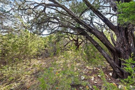 262 Beauchamp Road Dripping Springs TX 78620