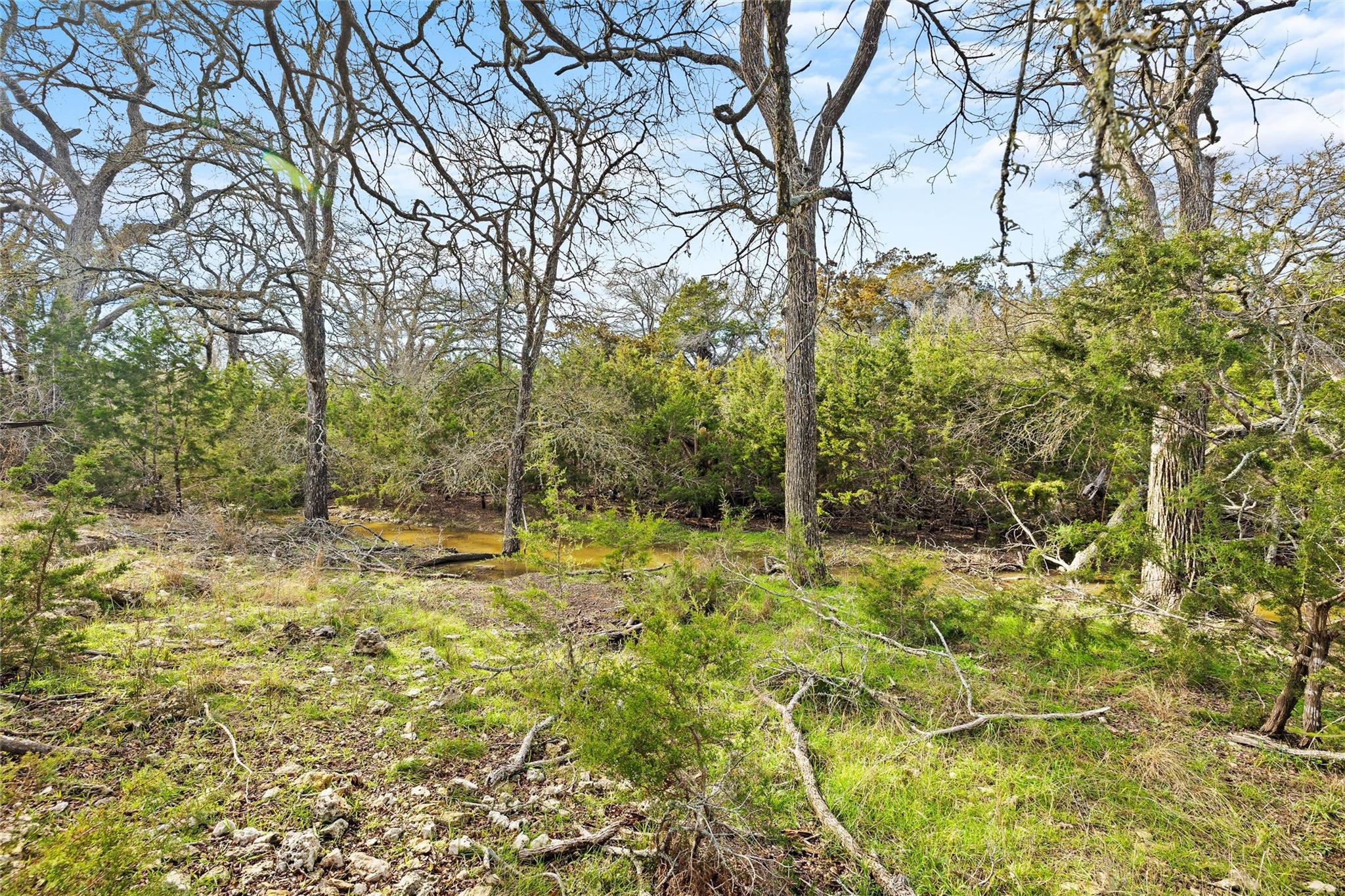 262 Beauchamp Road Dripping Springs TX 78620