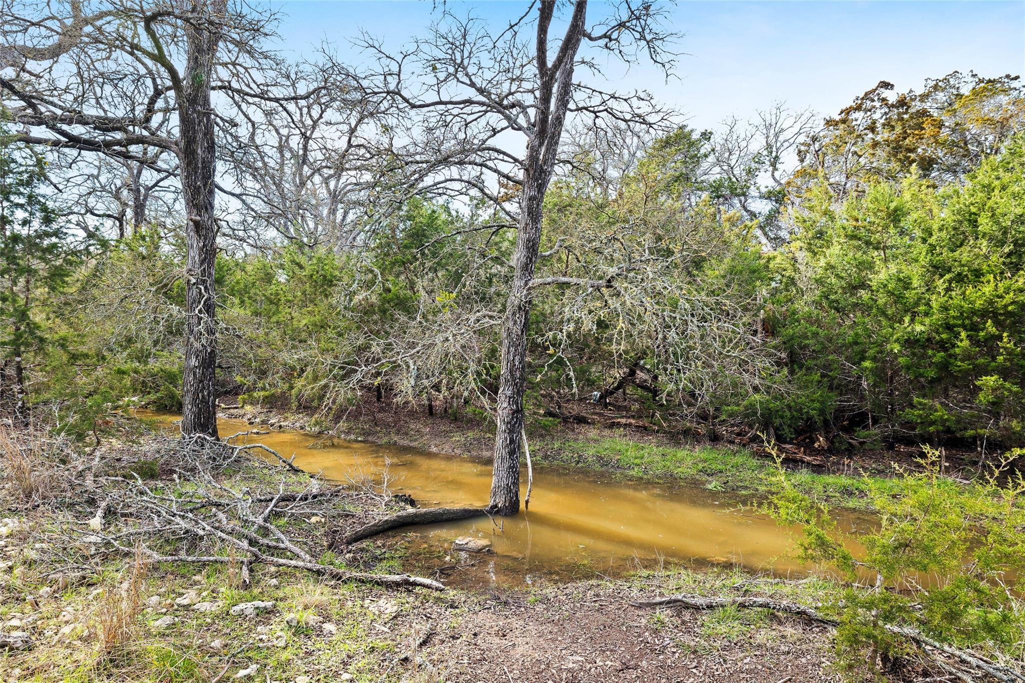 262 Beauchamp Road Dripping Springs TX 78620