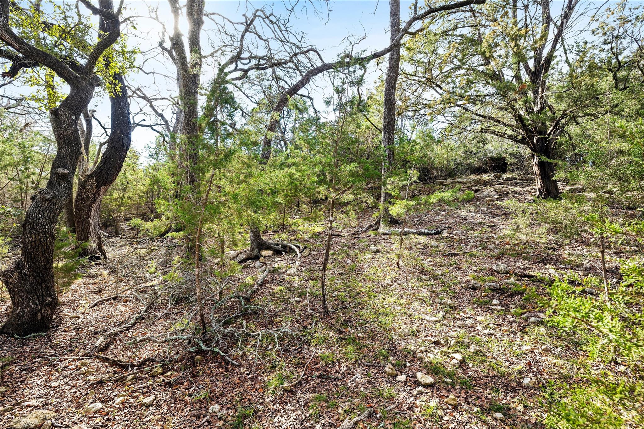 262 Beauchamp Road Dripping Springs TX 78620