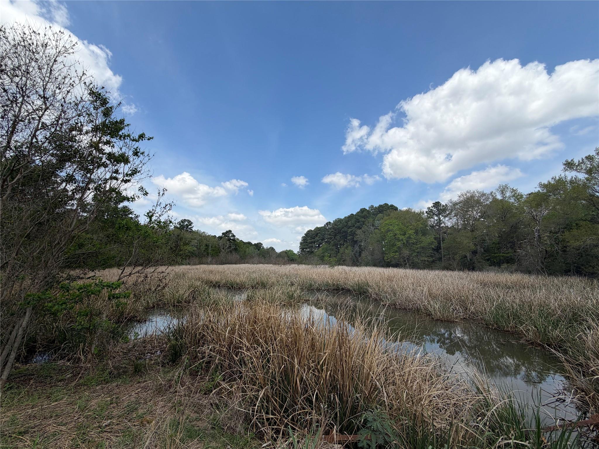 118 Edmonson Ranch Road Mcdade TX 78650