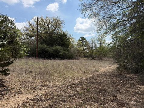 118 Edmonson Ranch Road Mcdade TX 78650
