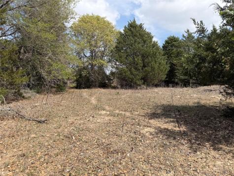 118 Edmonson Ranch Road Mcdade TX 78650