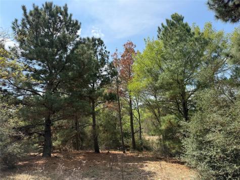 118 Edmonson Ranch Road Mcdade TX 78650