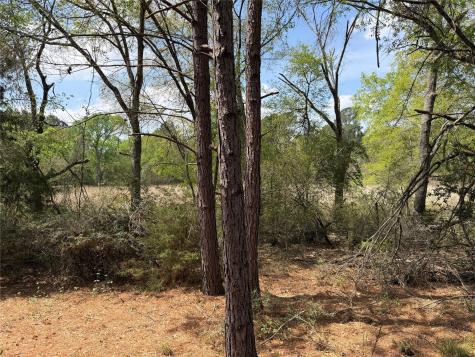 118 Edmonson Ranch Road Mcdade TX 78650