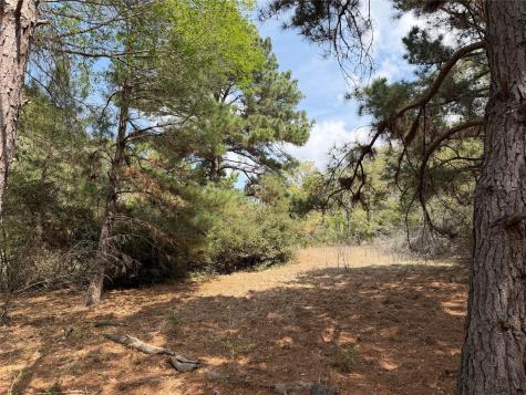 118 Edmonson Ranch Road Mcdade TX 78650